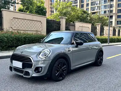 MINI MINI 2021