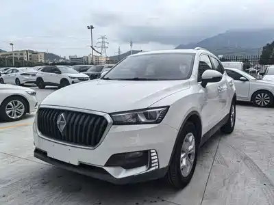 Borgward BX5 2018