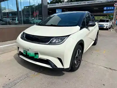 BYD Dolphin 2022