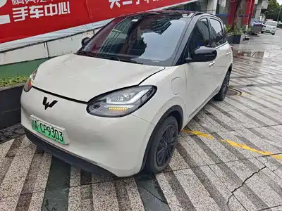 Wuling Motors Bingo 2024