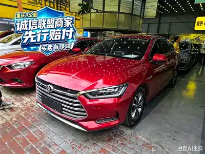 BYD Qin Pro New Energy 2019