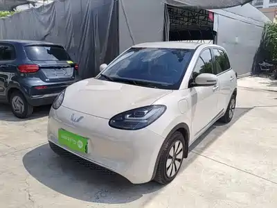 Wuling Motors Bingo 2024