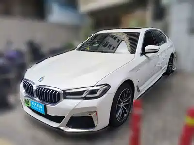 BMW 5 Series New Energy 2021
