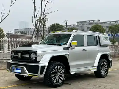 Crossboundary Auto Co-created Tank 300 2022