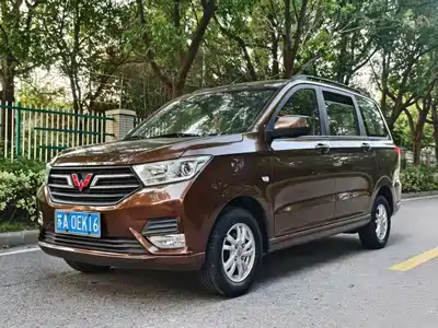 Wuling Motors Hongguang 2019