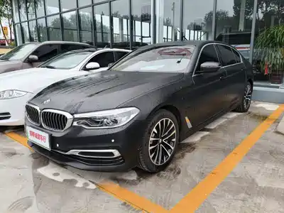 BMW 5 Series New Energy 2020
