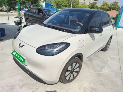 Wuling Motors Bingo 2024