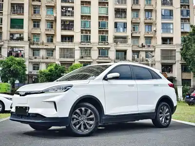 Weltmeister EX5 2019