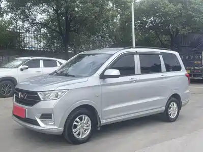 Wuling Motors Hongguang 2024