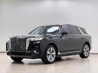 Hongqi E-HS9 2021