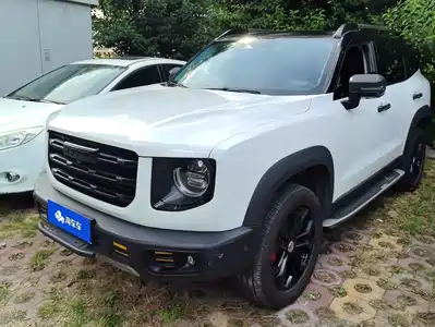 Haval Big Dog 2021