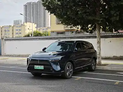 WEY Lanshan 2025