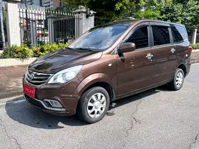 BAIC Weiwang M30 2017