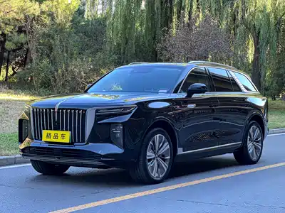 Hongqi E-HS9 2023
