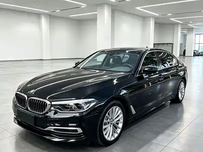 BMW 5 Series New Energy 2020