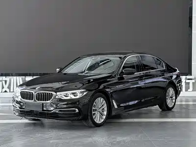 BMW 5 Series New Energy 2020