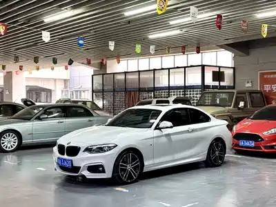 BMW 2 Series (Import) 2021