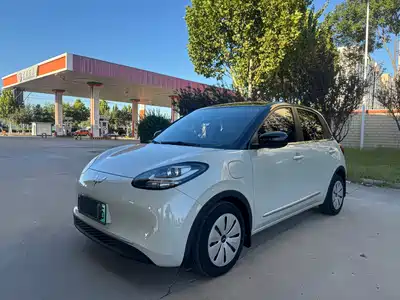 Wuling Motors Bingo 2023