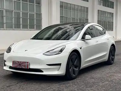 Tesla Model 3 (Import) 2019