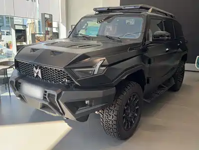 Mengshi 917 2026