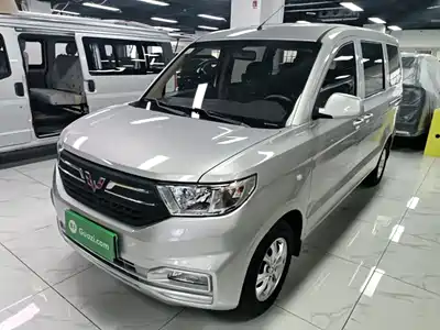 Wuling Motors Hongguang V 2024