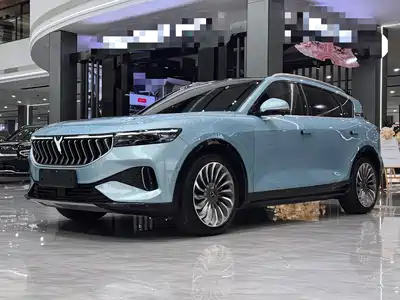 Voyah Auto FREE 2022