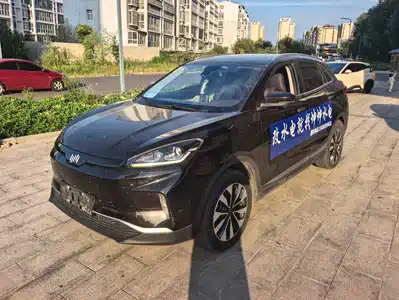 Weltmeister EX5 2019