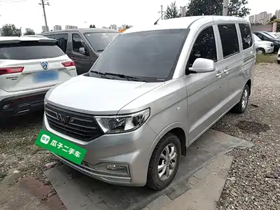 Wuling Motors Hongguang V 2024
