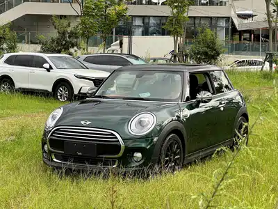MINI MINI 2018