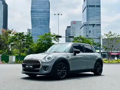 MINI MINI 2021