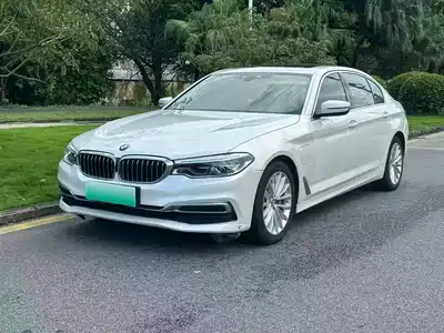 BMW 5 Series New Energy 2020