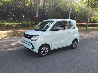 Dongfeng Fengguang MINIEV 2022