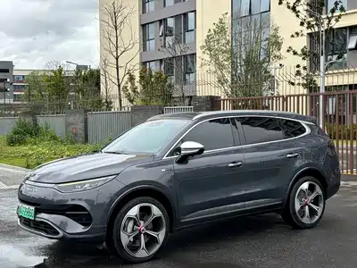 Denza X 2022