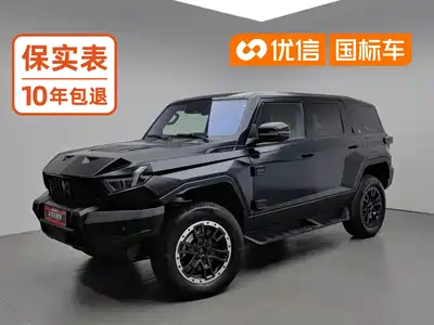 Mengshi 917 2024