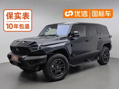 Mengshi 917 2024
