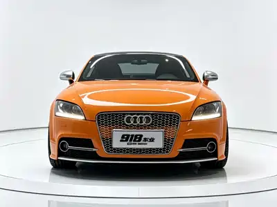 Audi TTS 2010