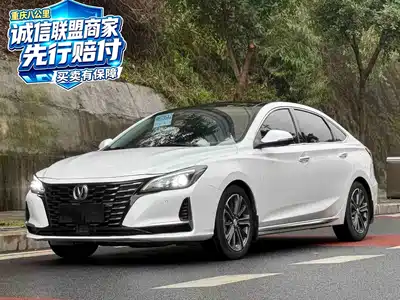 Changan Ruicheng CC 2022