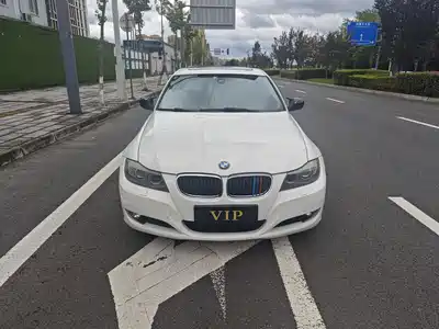 BMW 3 Series (Import) 2010