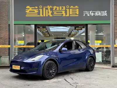 Tesla Model Y 2021