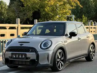 MINI MINI 2024