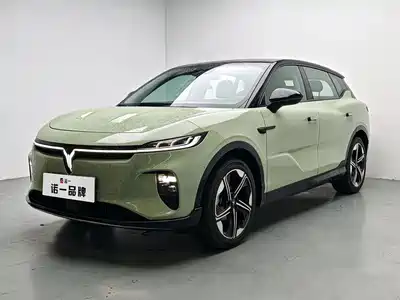 Voyah Auto Zhiyin 2025