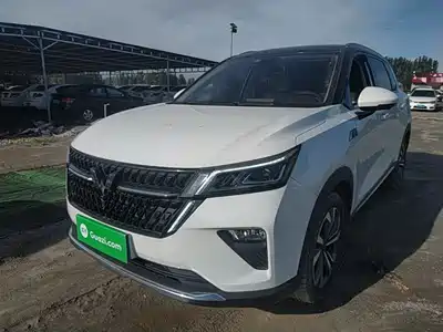 Wuling Motors Xingchen 2021