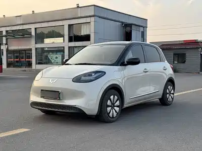 Wuling Motors Bingo 2024
