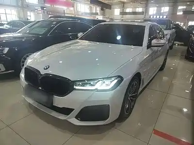 BMW 5 Series New Energy 2021