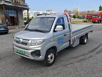 Ruichi ED71 EV 2024
