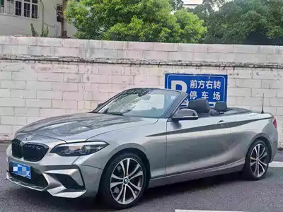 BMW 2 Series (Import) 2019