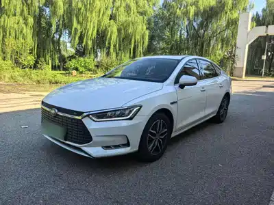 BYD Qin Pro New Energy 2020