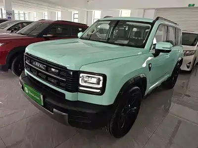 Haval Meng Long NEV 2025