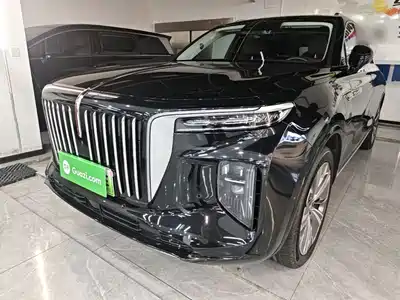 Hongqi E-HS9 2023