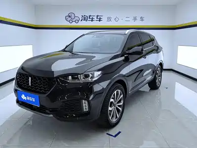 WEY VV6 2019